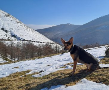 Valle en invierno