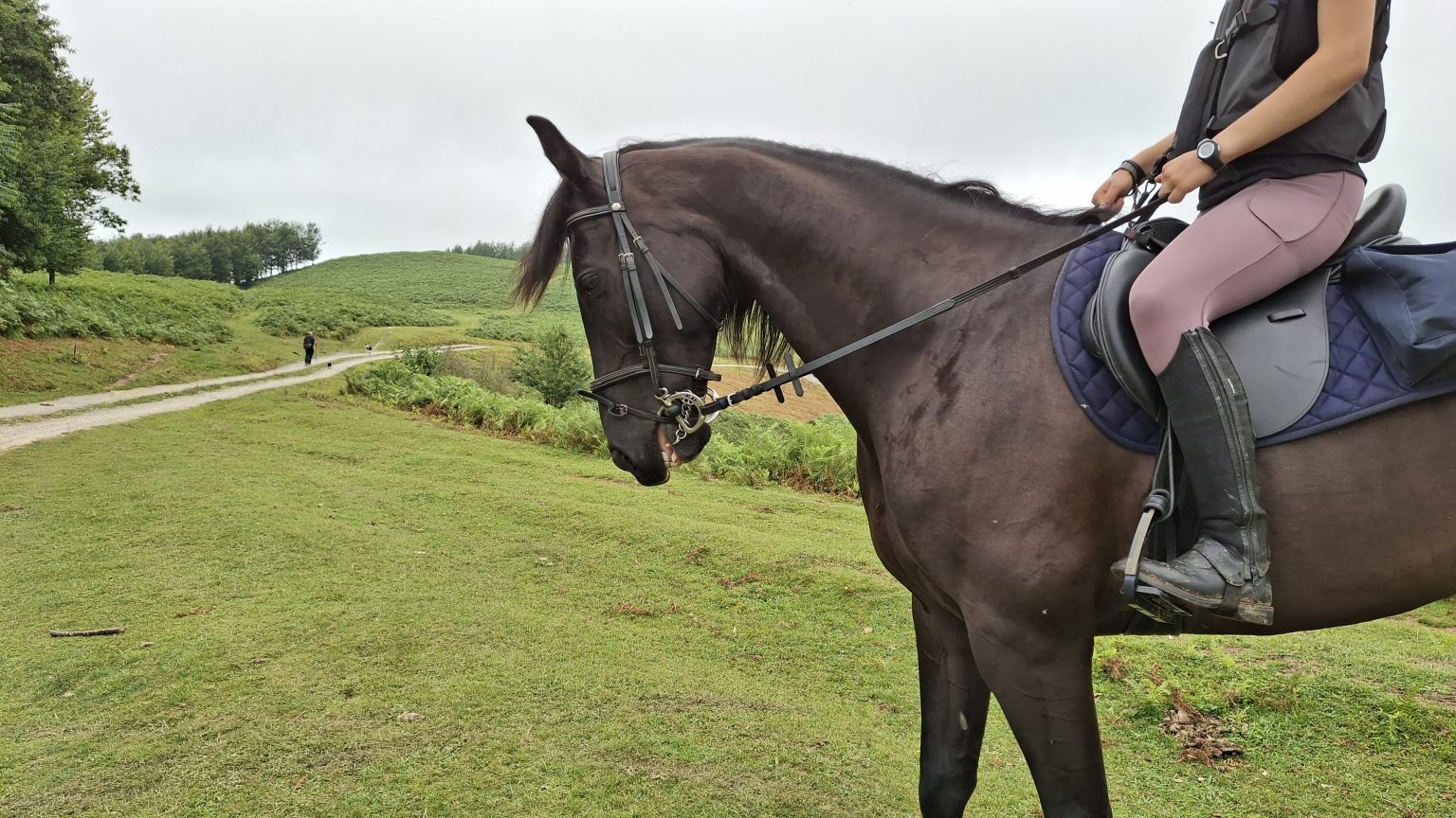 Monto a caballo en valle de Baztan Bidasoa