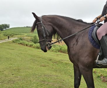 A caballo