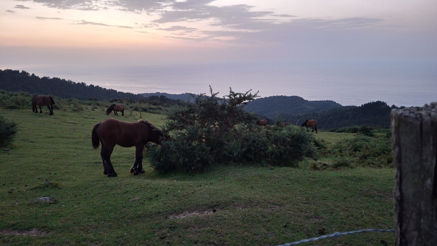 Caballos y naturaleza valle de Baztan Bidasoa