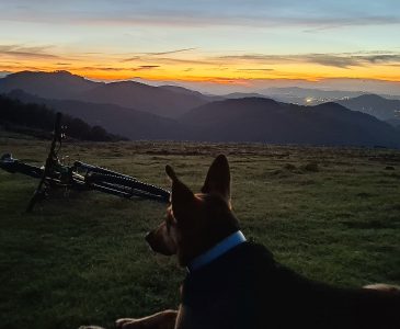 Atardecer