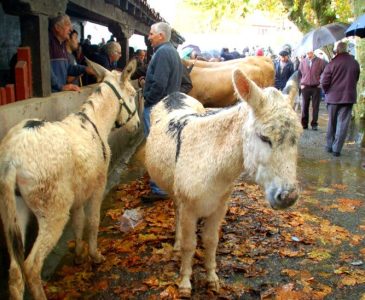 feria de otoño doneztebe santesteban