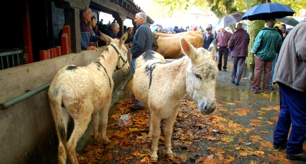 feria de otoño doneztebe santesteban