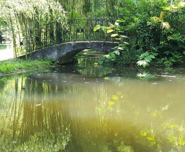 parque natural senorio (2)