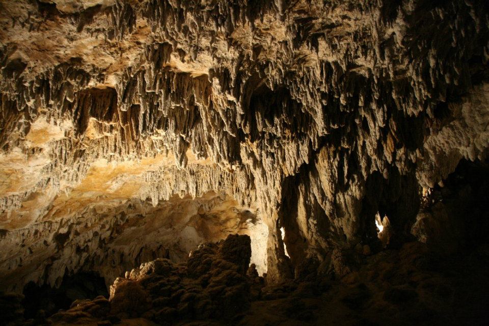 Interior of the Urdax caves