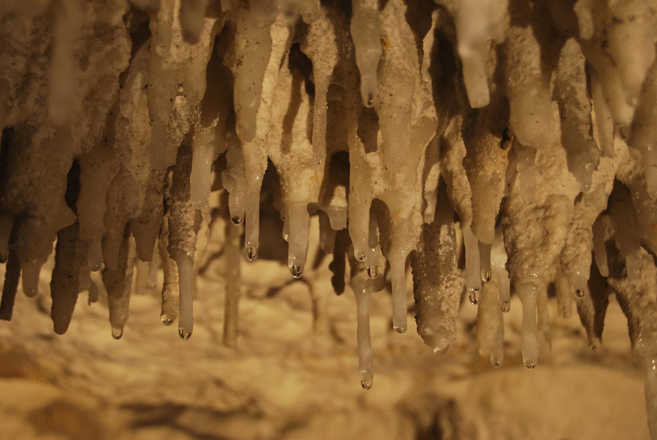 Stalactites in the Urdax caves