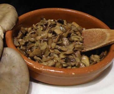 Hongos Baztan