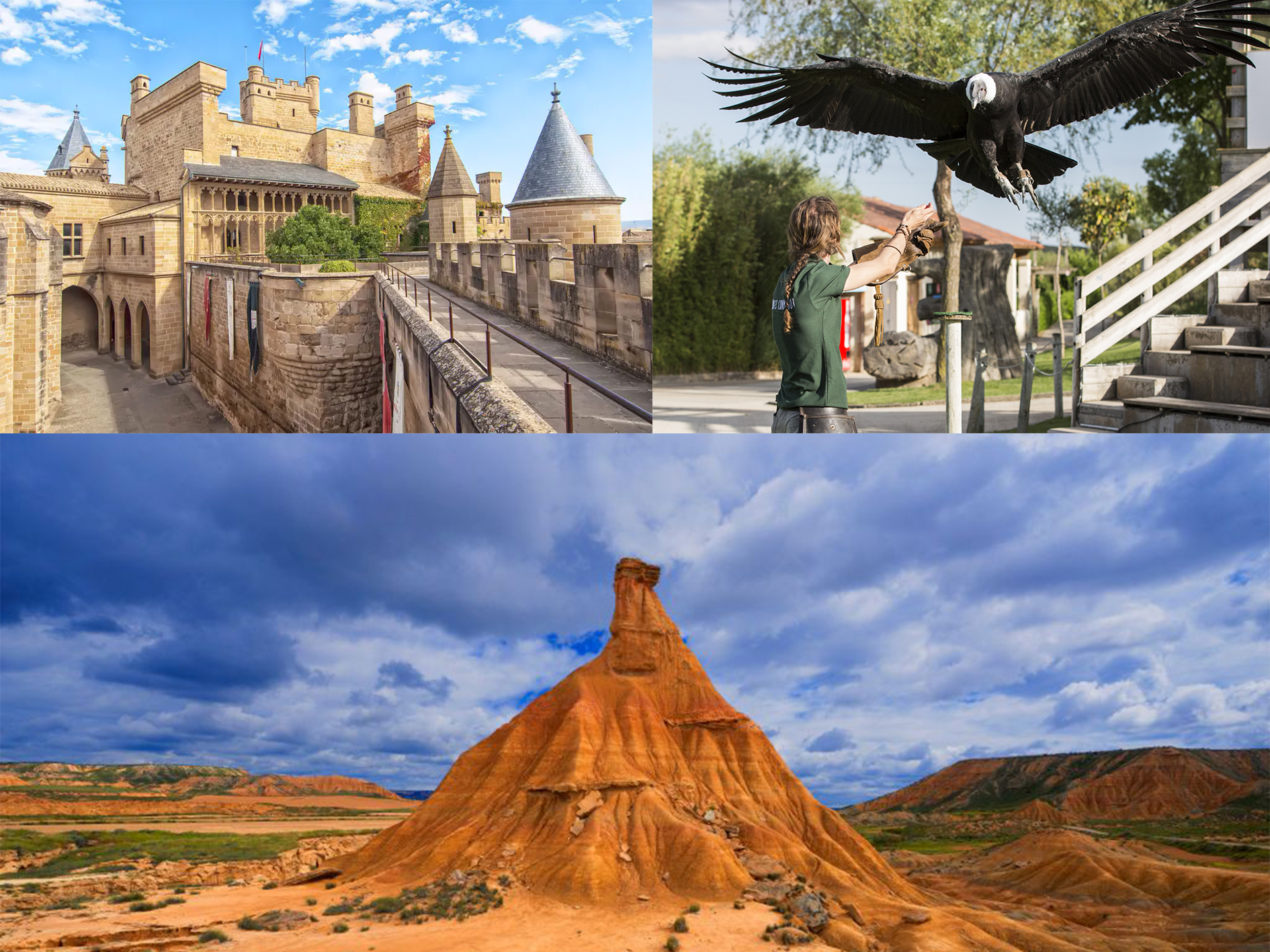 olite 4