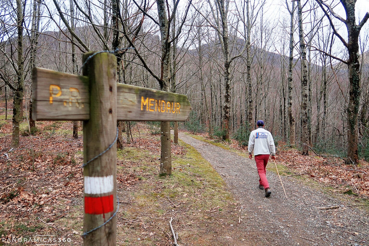 Read more about the article Montaña Mendaur
