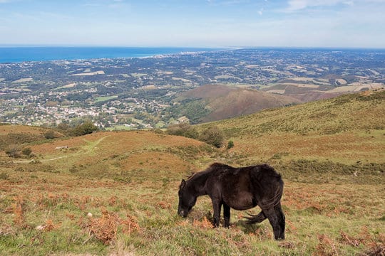 Route du Cheval Bleu Pottoka Bidea Xareta