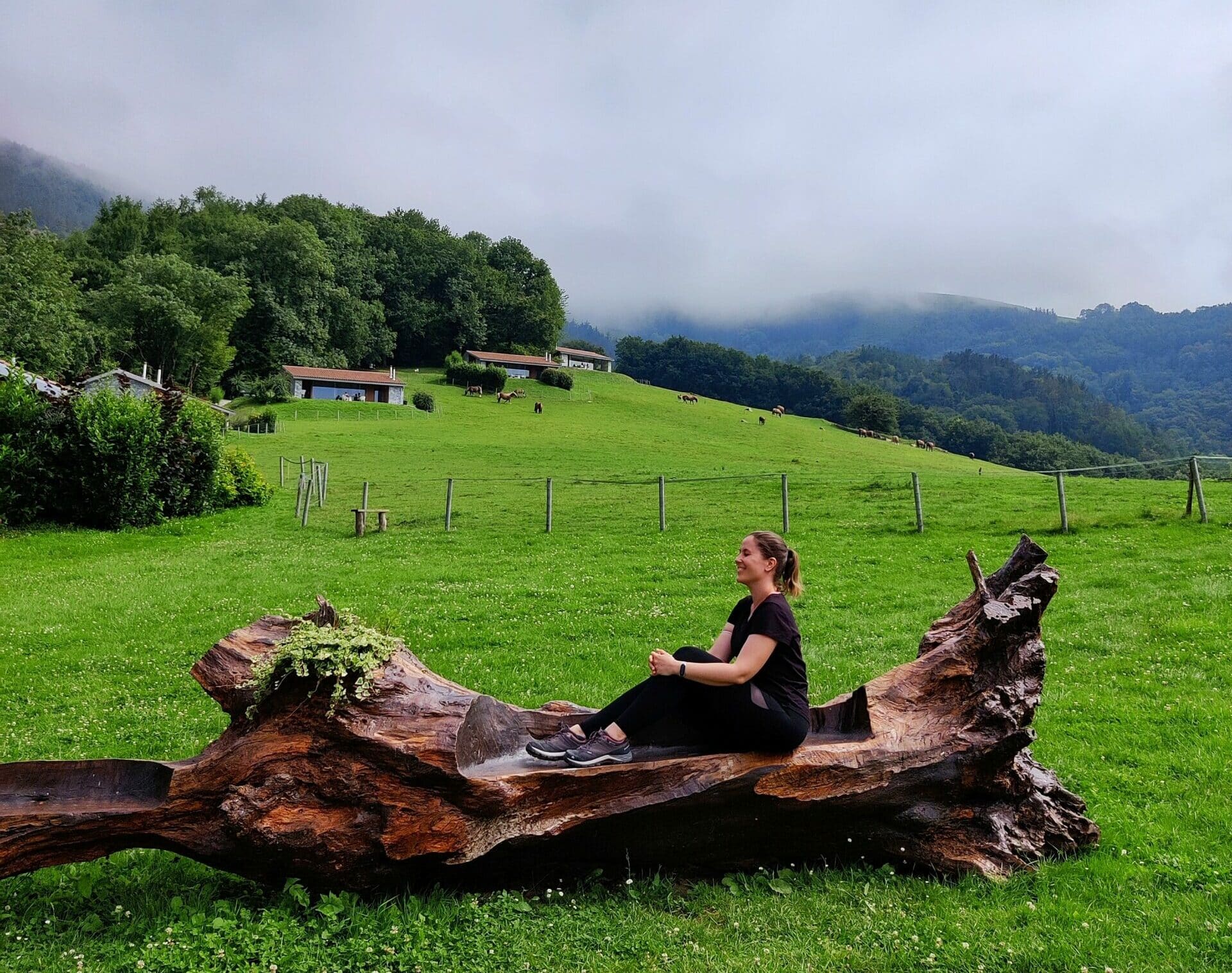 Read more about the article Irrisarri Land : aventure et nature en plein nord de la Navarre