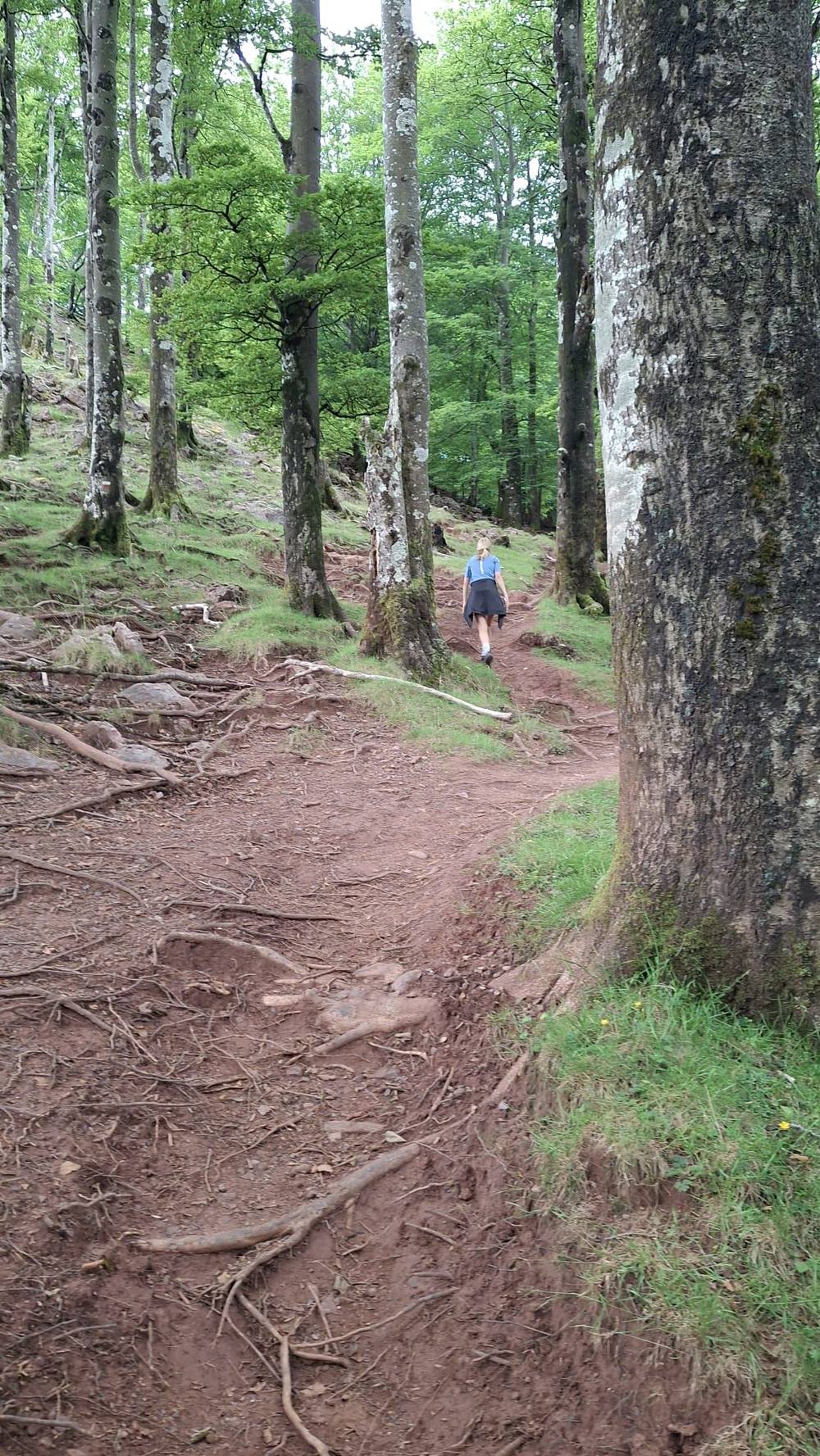 Trail on Mount Alkaxuri