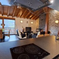 angiz 1 apartamentu xarmagarria, tximinia eta sukaldeko irla